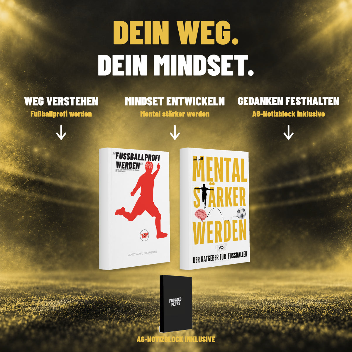 Focused Plyrs bestseller-duo – vorteile mit Originalcover