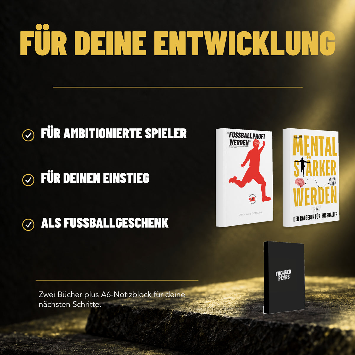 Focused Plyrs bestseller-duo – fuer-wen mit Originalcover