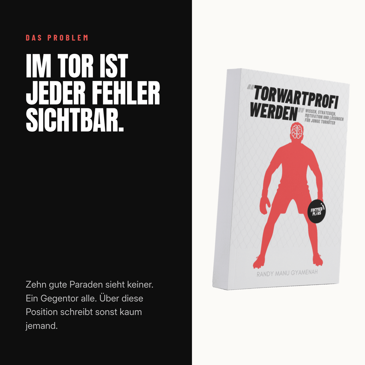 Torwartprofi werden