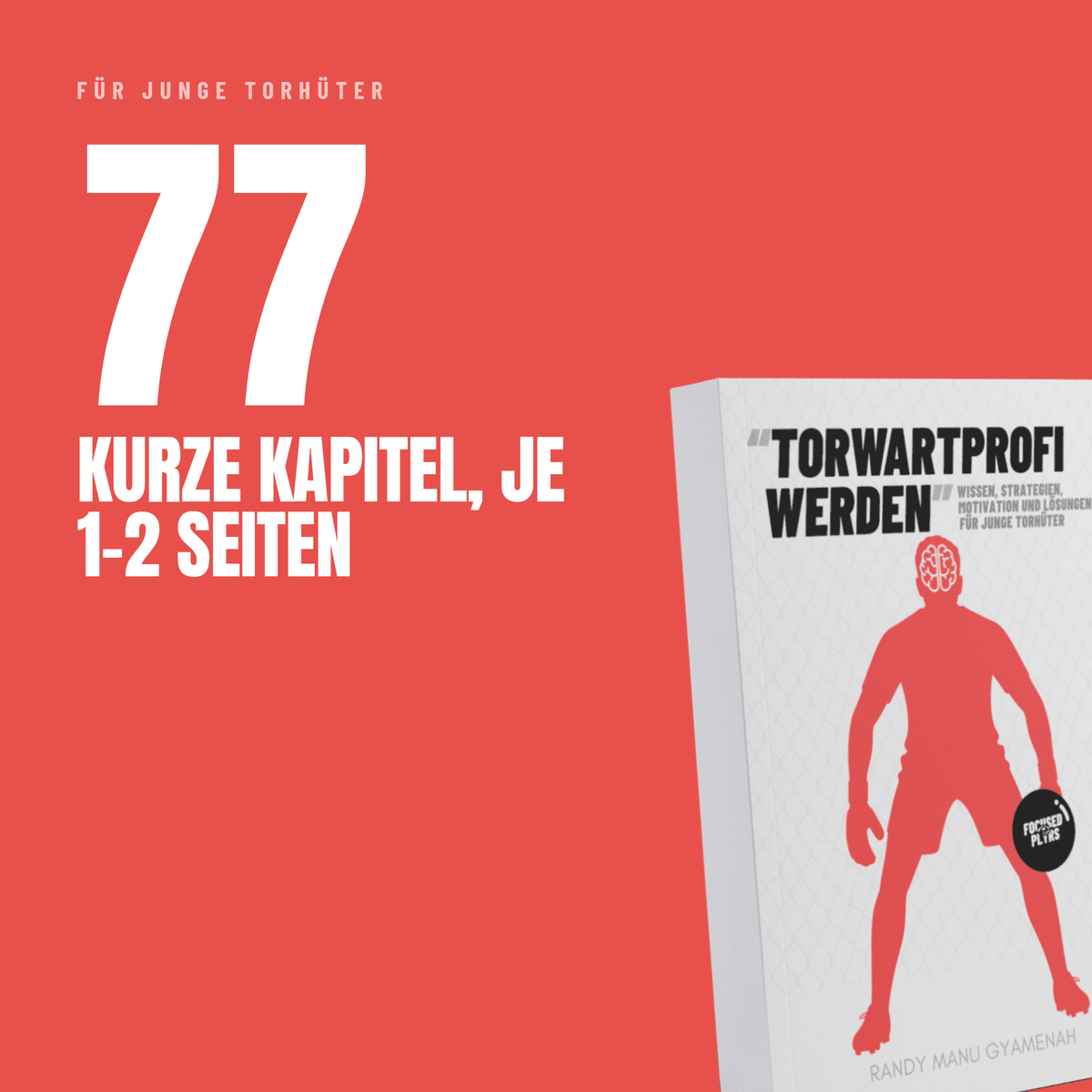 Torwartprofi werden